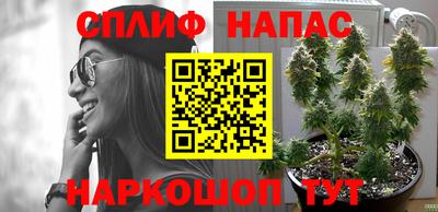 индика Бугуруслан